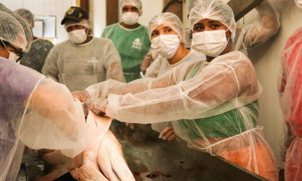Capacitação em boas práticas para manejo do pirarucu beneficia mais de 80 pescadores na RDS Mamirauá - FAS