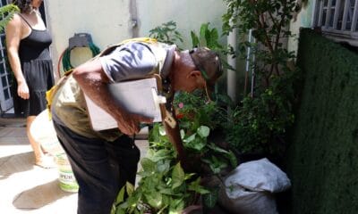Dia D combate focos de mosquito da dengue em todo o país