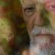 Morre Ney Latorraca, ícone da arte brasileira, aos 80 anos