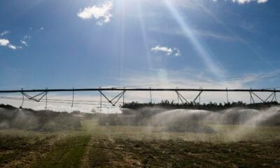 Entenda como ficam exportações agrícolas após acordo Mercosul-UE