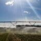 Entenda como ficam exportações agrícolas após acordo Mercosul-UE