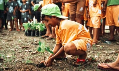 FAS completa 17 anos de compromisso com a sustentabilidade da Amazônia - FAS