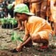 FAS completa 17 anos de compromisso com a sustentabilidade da Amazônia - FAS