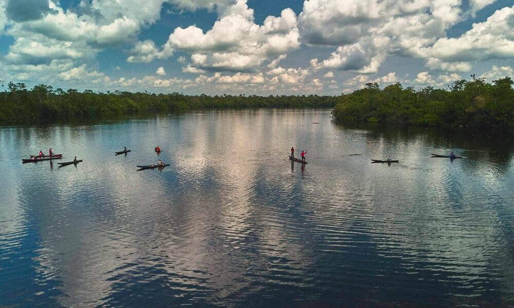 Turismo sustentável e pesca esportiva geram faturamento de R$ 6,3 milhões no Amazonas - FAS