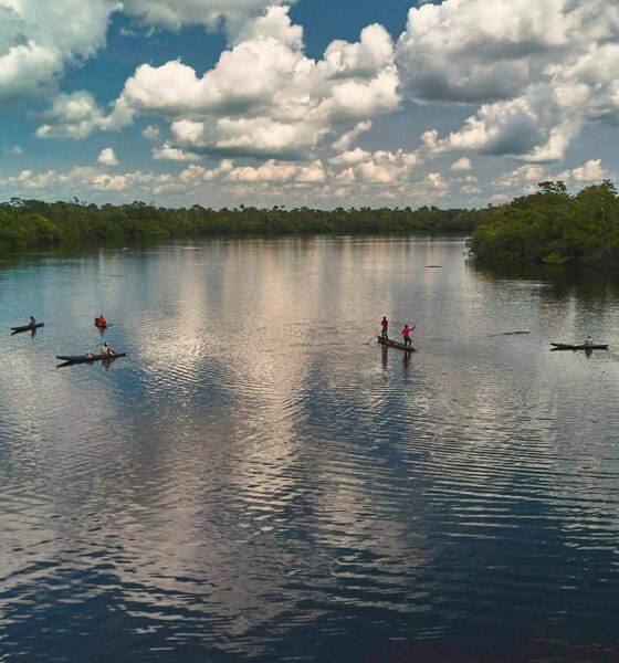 Turismo sustentável e pesca esportiva geram faturamento de R$ 6,3 milhões no Amazonas - FAS