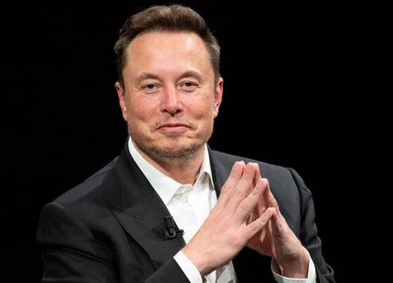 Quem é a escritora que diz ter dado à luz ao 13º filho de Elon Musk