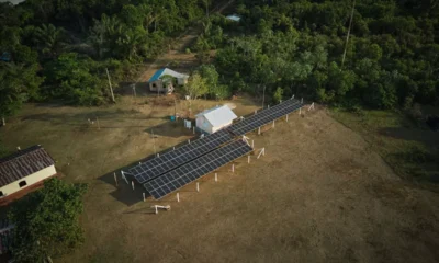 COP 30: soluções sustentáveis devem liderar agenda climática, dizem especialistas - FAS