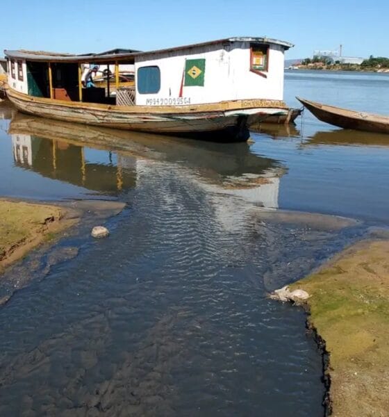 Perda de água no Cerrado resulta em seca no Pantanal; desmatamento tem papel central