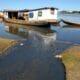 Perda de água no Cerrado resulta em seca no Pantanal; desmatamento tem papel central