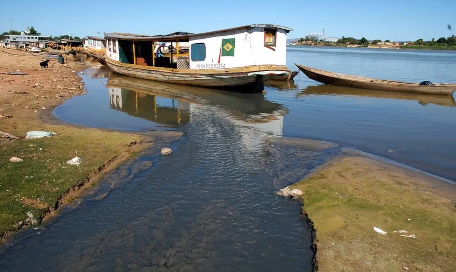Perda de água no Cerrado resulta em seca no Pantanal; desmatamento tem papel central