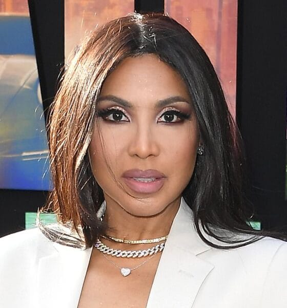 A saga 'Secret Wedding and Divorce' de Toni Braxton revelou em meio ao romance de Birdman