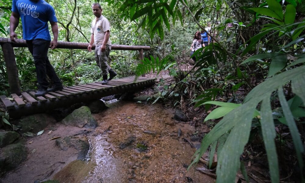 Confira os principais cuidados a serem tomados ao fazer trilhas