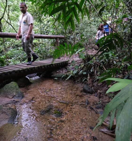 Confira os principais cuidados a serem tomados ao fazer trilhas