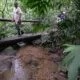 Confira os principais cuidados a serem tomados ao fazer trilhas