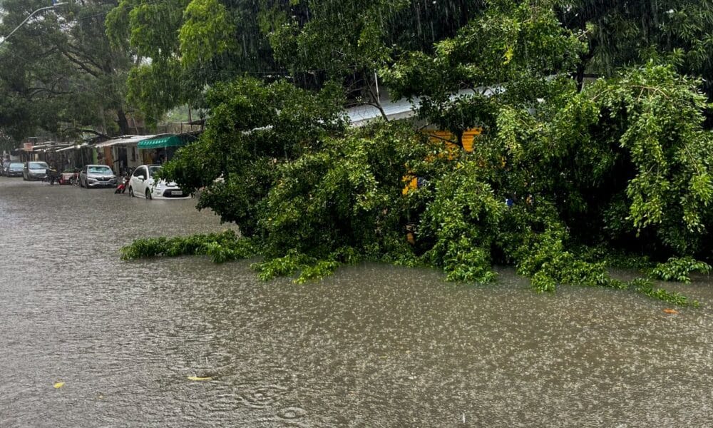 Defesa Civil Alerta é lançado no Nordeste para notificar riscos