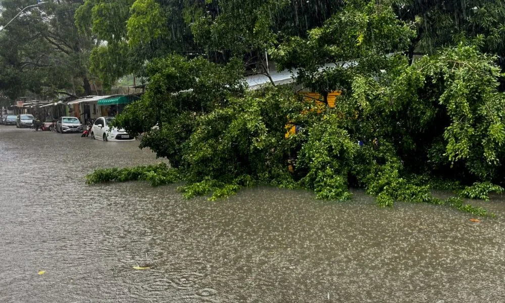 Defesa Civil Alerta é lançado no Nordeste para notificar riscos