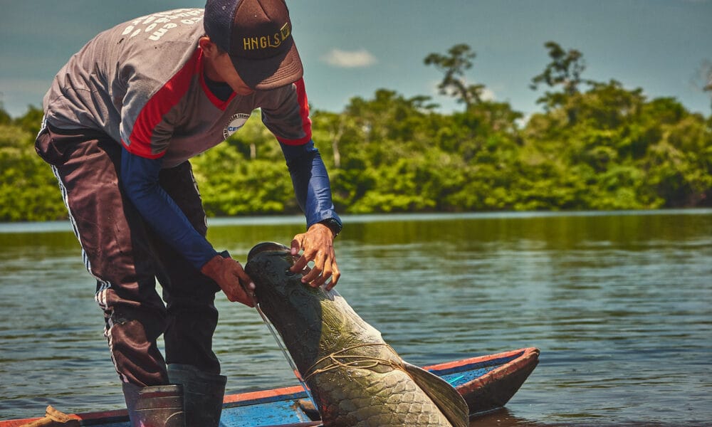 Campanha destaca a importância da conservação da Amazônia e alerta para os impactos das mudanças climáticas - FAS