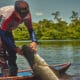 Campanha destaca a importância da conservação da Amazônia e alerta para os impactos das mudanças climáticas - FAS
