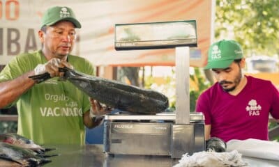 Feira do Tambaqui oferta 9 toneladas de pescado em Manaus neste sábado e domingo - FAS