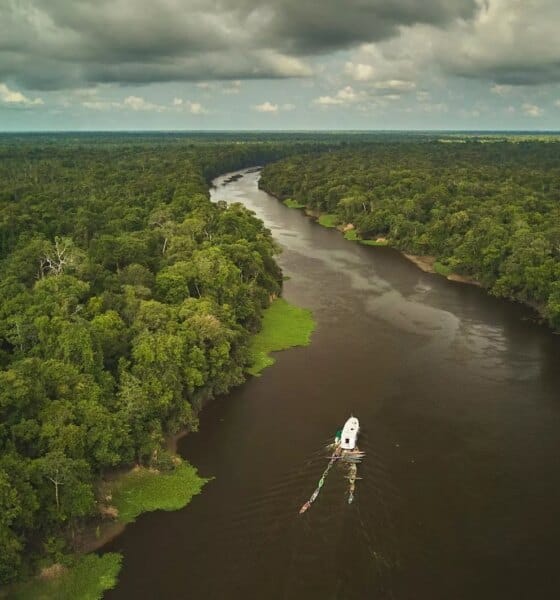 Virada Sustentável e FAS abrem chamada para atividades no Barco Cultural Banzeiro da Esperança durante a COP30 em Belém - FAS