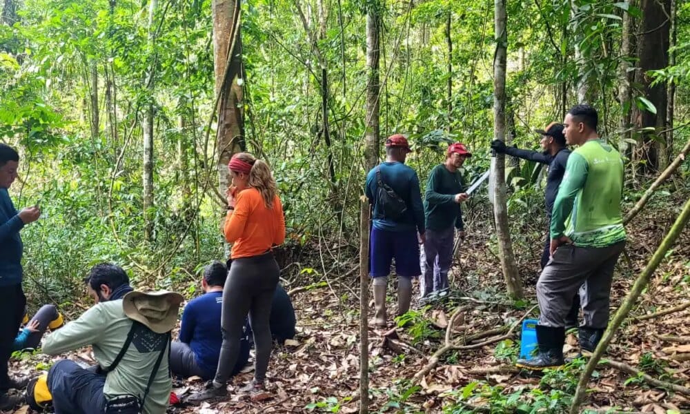 Implantação do Parque Estadual das Árvores Gigantes da Amazônia entra em nova fase de execução - FAS