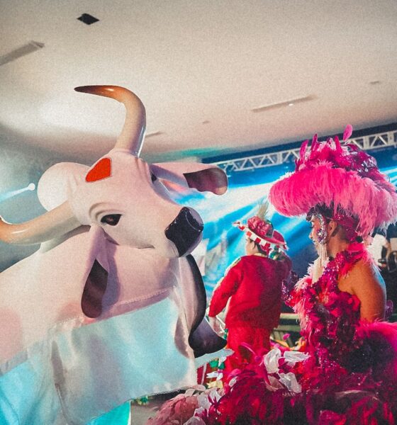 Banzeiro da Esperança chega a Parintins e interage com a cultura dos Bois Caprichoso e Garantido - FAS