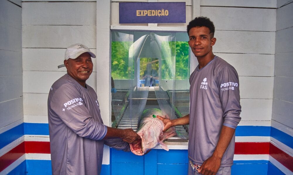 Projeto fortalece cadeia do pirarucu e amplia alternativas de renda na Amazônia - FAS