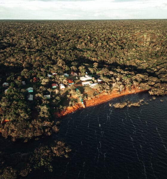 FAS completa 18 anos com novas parcerias para fortalecer a bioeconomia na Amazônia e melhorar a infraestrutura comunitária - FAS