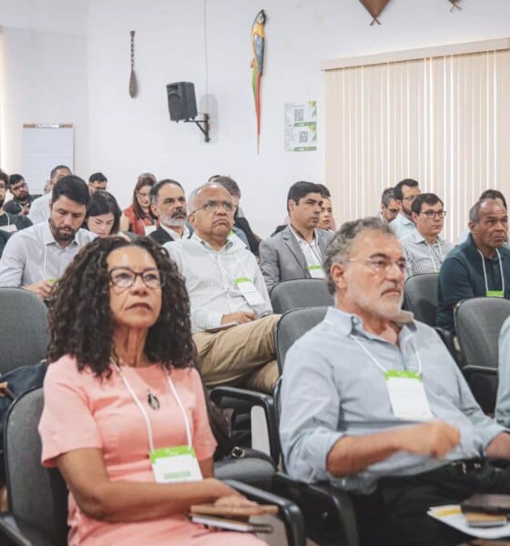 Especialistas debatem impacto da energia renovável em comunidades amazônicas - FAS