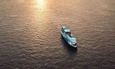 Prospera na Floresta 2