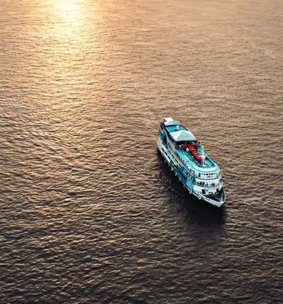 Prospera na Floresta 2