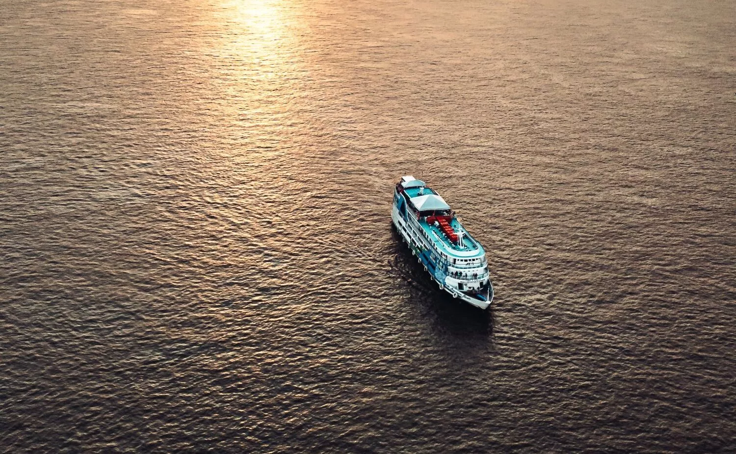 Prospera na Floresta 2