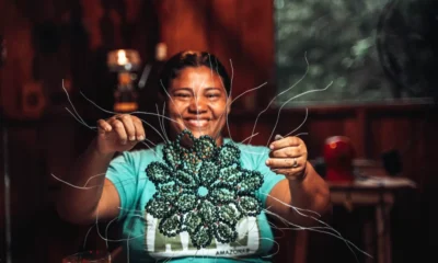 Prospera na Floresta