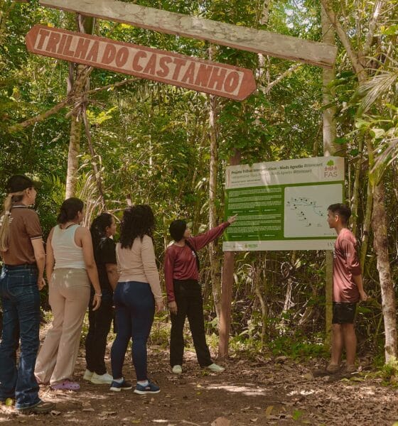 FAS implementa trilhas interpretativas em unidades de conservação do Amazonas com apoio da LVMH - FAS