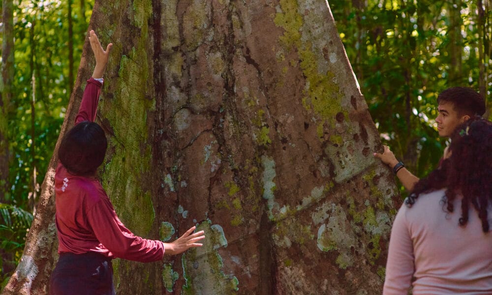 Ações na Amazônia protegem 11,3 milhões de hectares e impactam mais de 21,9 mil famílias - FAS