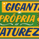 FAS lança campanha “Gigante pela própria natureza” para ampliar debate sobre Unidades de Conservação no Amazonas e no Pará  - FAS