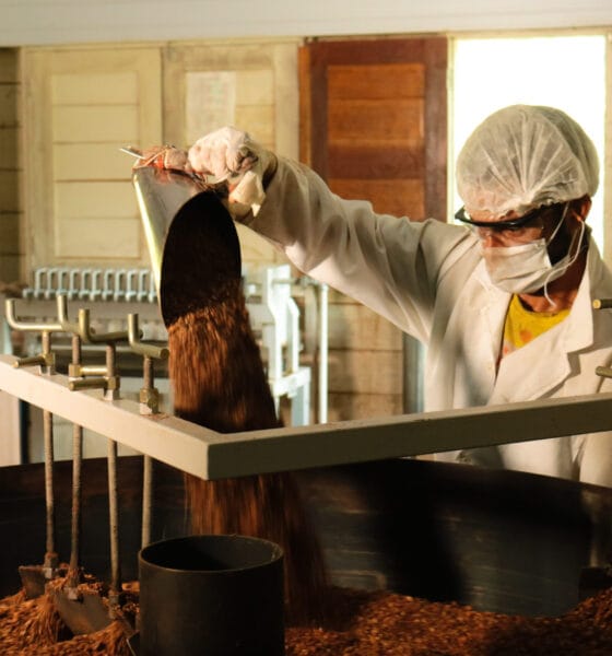 Amazônia vive nova onda de financiamento estruturado para bioeconomia - FAS