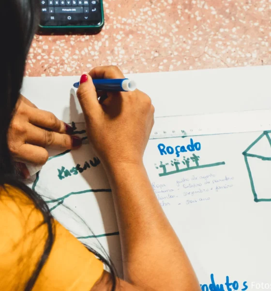 Edital Prospera Sociobio divulga resultado final com redes selecionadas para criação de núcleos de sociobioeconomia na Amazônia - FAS