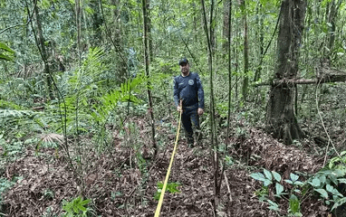 Oficinas participativas contribuem para Plano de Gestão do Parque Estadual Ambiental das Árvores Gigantes da Amazônia - FAS