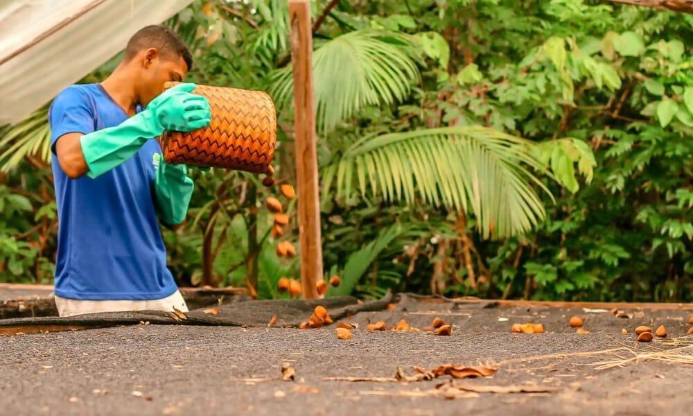 Edital de Apoio a Coletivos da Sociobioeconomia divulga resultado final com cinco iniciativas selecionadas na Amazônia Legal - FAS