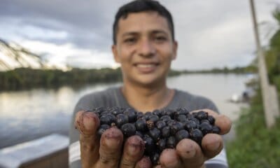 FAS e GEA levam energia solar para mais de 450 famílias na Amazônia - FAS