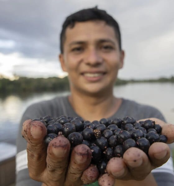 FAS e GEA levam energia solar para mais de 450 famílias na Amazônia - FAS