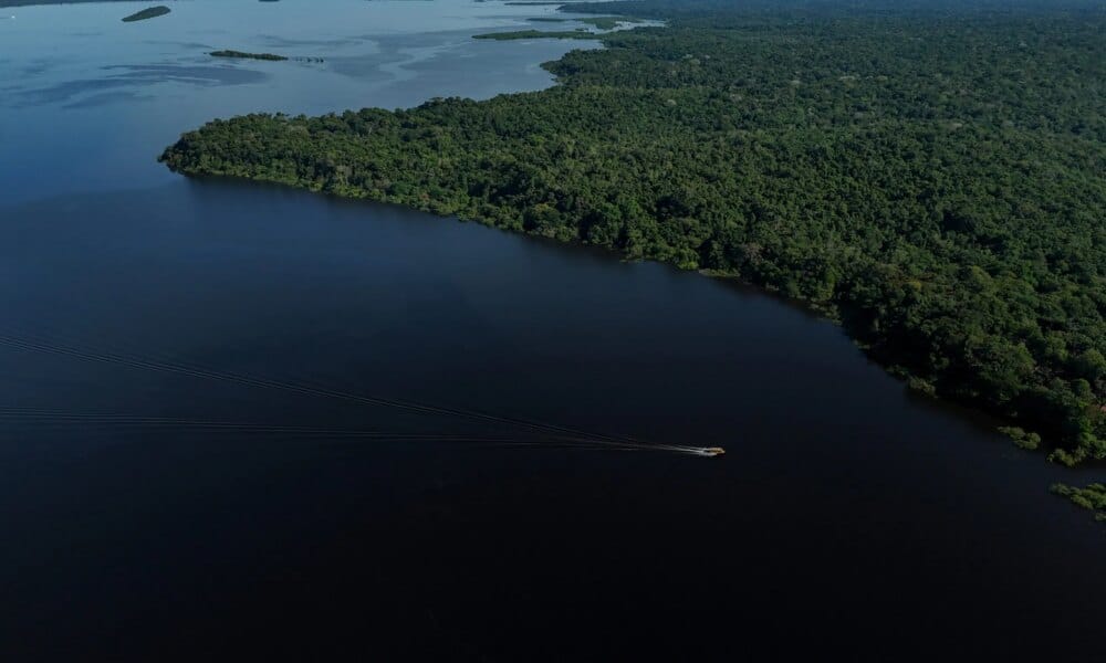 Amazonas terá reforço de 153 brigadistas para prevenção e combate a incêndios florestais - FAS