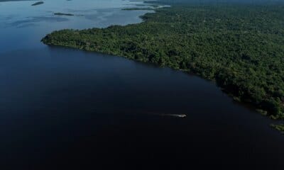 Amazonas terá reforço de 153 brigadistas para prevenção e combate a incêndios florestais - FAS