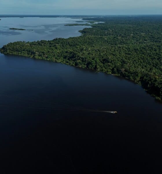 Amazonas terá reforço de 153 brigadistas para prevenção e combate a incêndios florestais - FAS