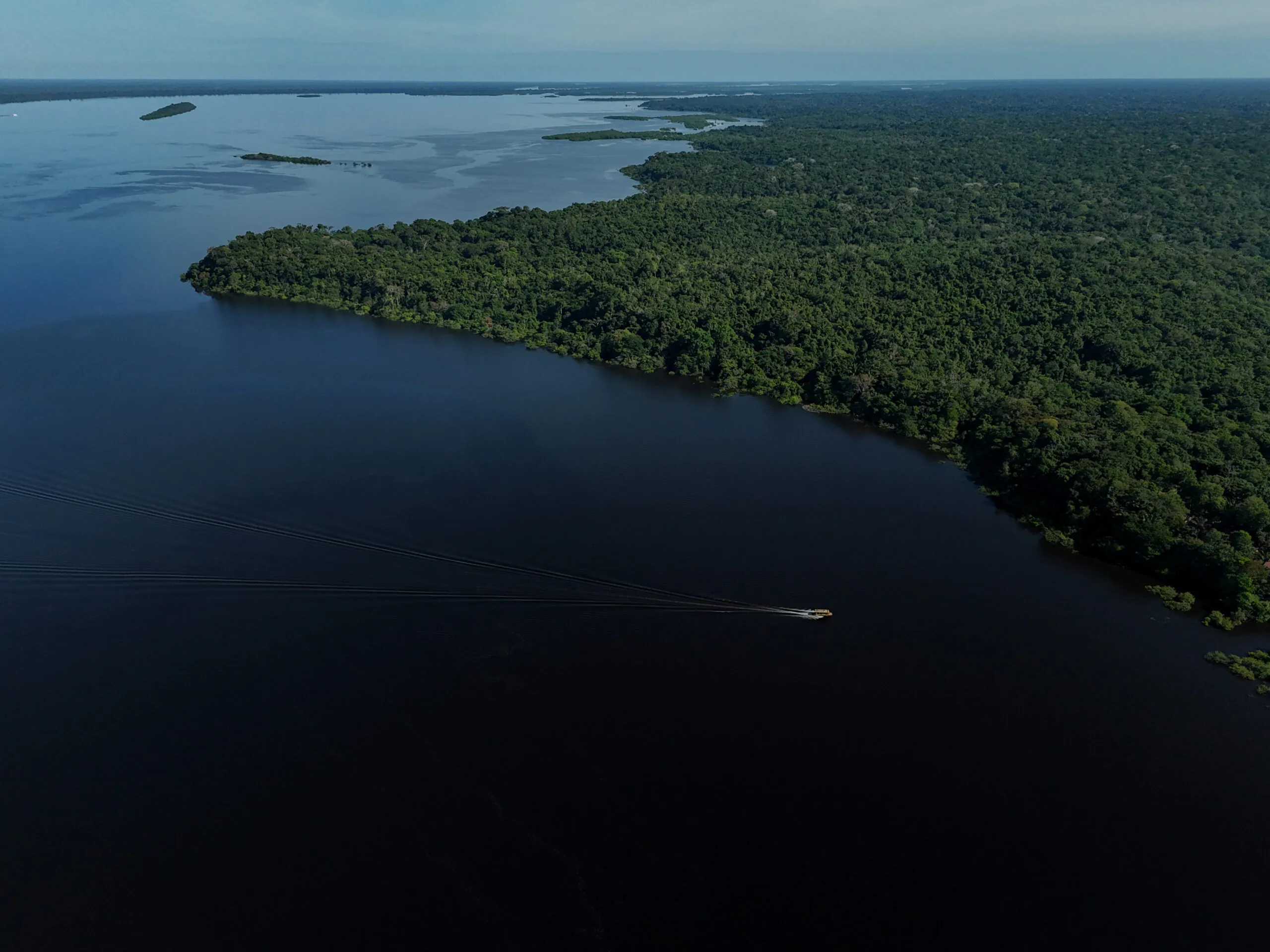 Amazonas terá reforço de 153 brigadistas para prevenção e combate a incêndios florestais - FAS