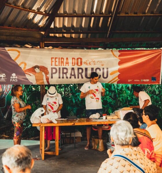 Feira do Pirarucu oferece cinco toneladas de pescado a preços acessíveis neste sábado em Manaus - FAS