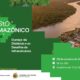TCE-AM e TCU discutem custos de obras públicas na Amazônia – Tribunal de Contas do Estado do Amazonas