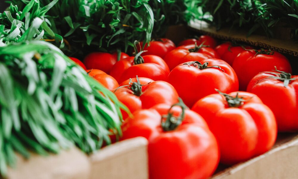Tomates vermelhos frescos